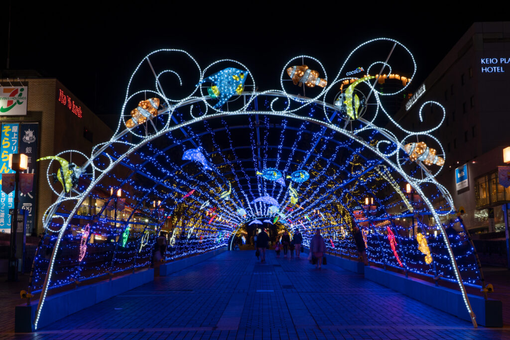 Illumination at Tama Center