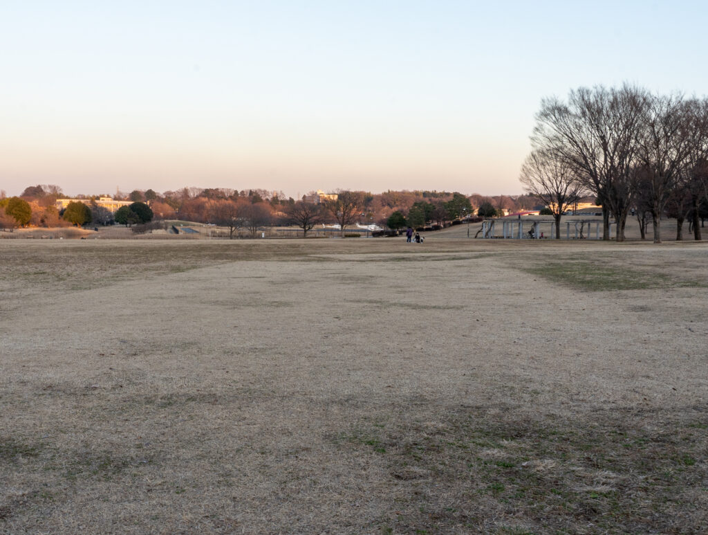 Grassy plaza at Musashinomori Park