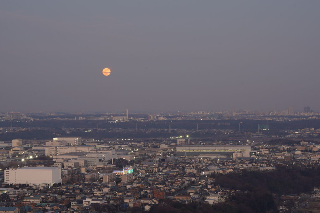 View from Mount Tobio Observation Tower