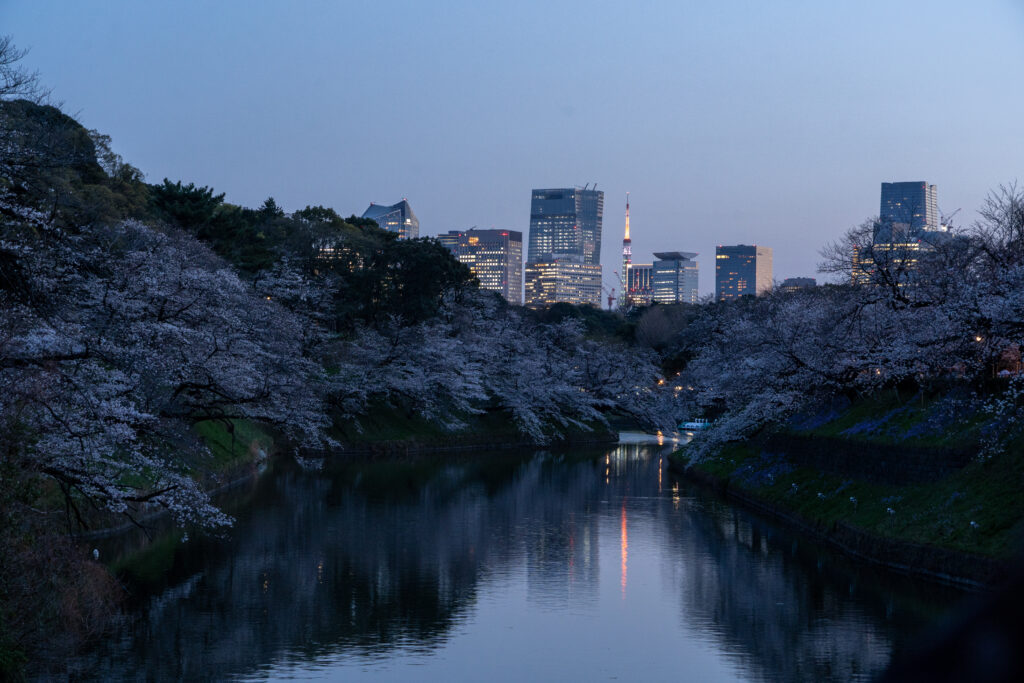 Chidorigafuchi Moat night view