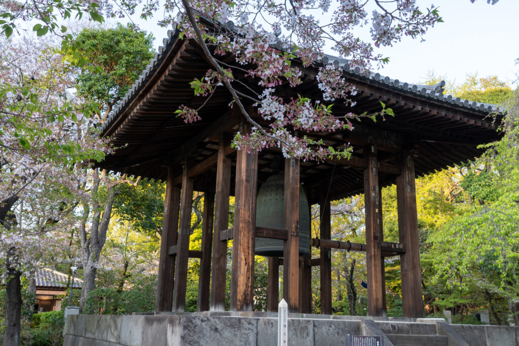 Cherry blossom and big bell at Zojoji Temple