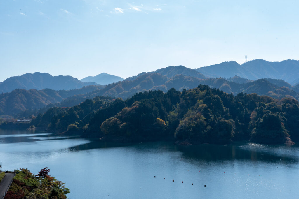 View from Toriibara park